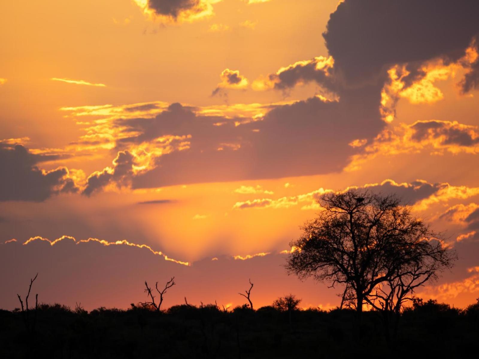 Grace Of Africa, Couples 5 Star Nature Lodge Marloth Park Buitenkant foto